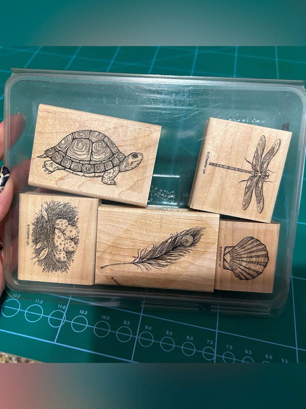 Stampin Up Natures Nest